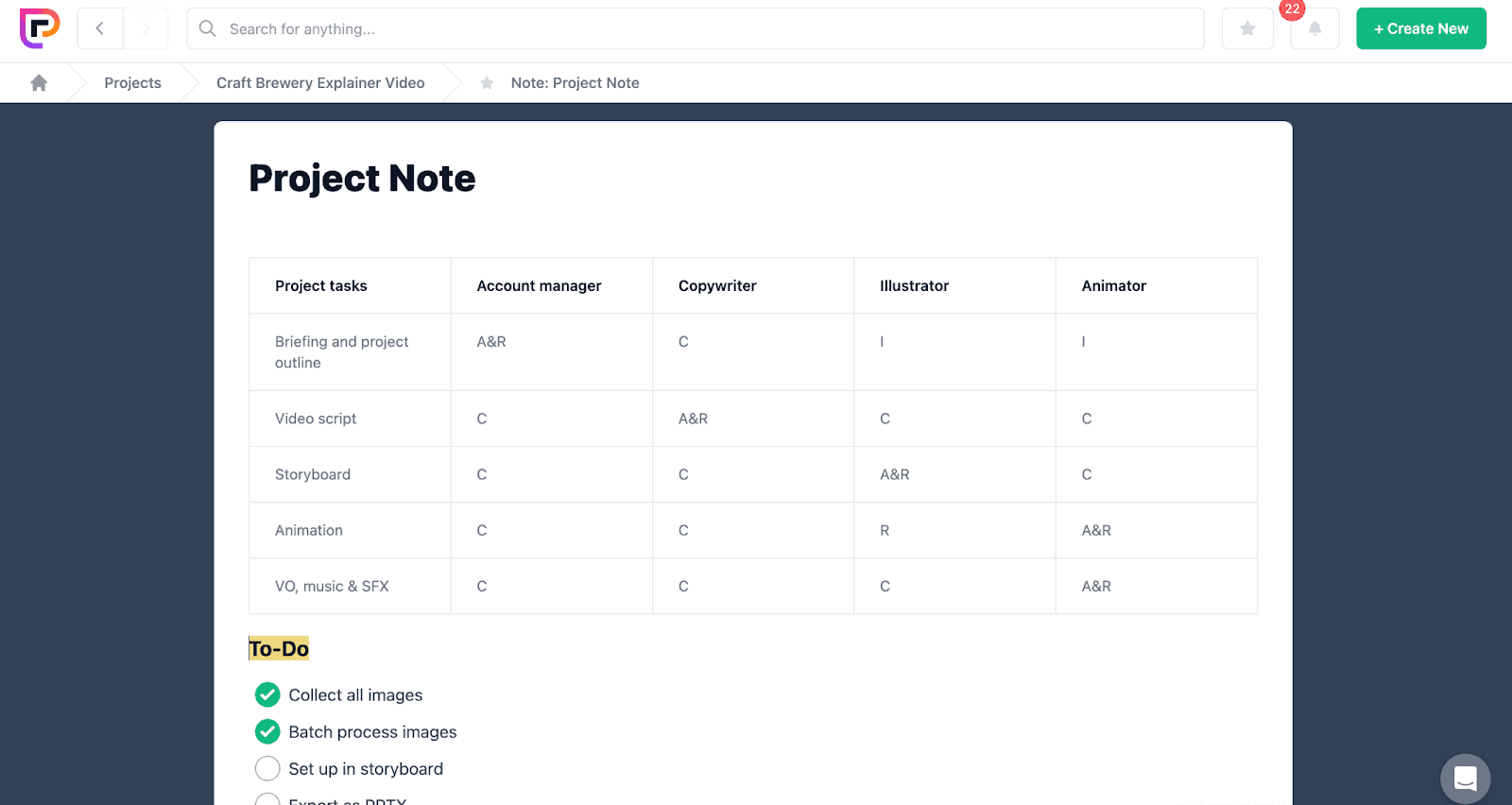 Project.co RACI matrix