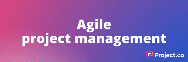 Agile project management